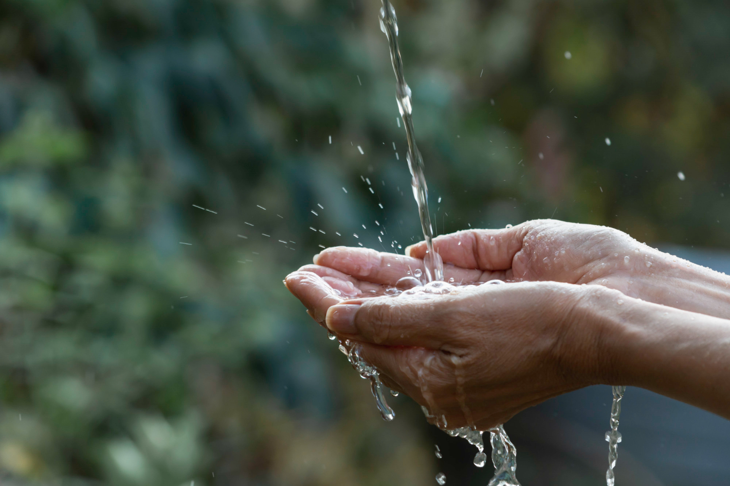 Ahorrar agua